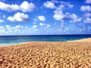 hawaii beach