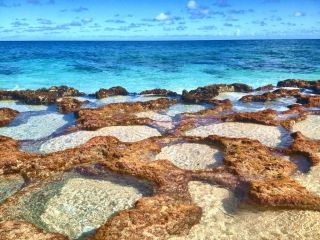 tidepool